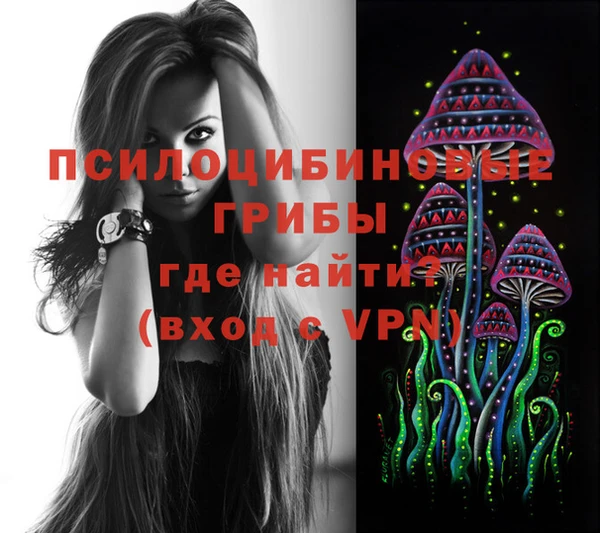 дурь Зеленокумск
